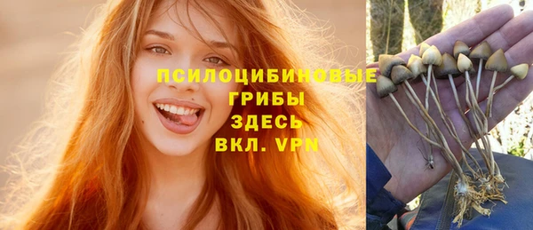 mix Алексин