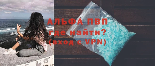 прущие грибы Переславль-Залесский
